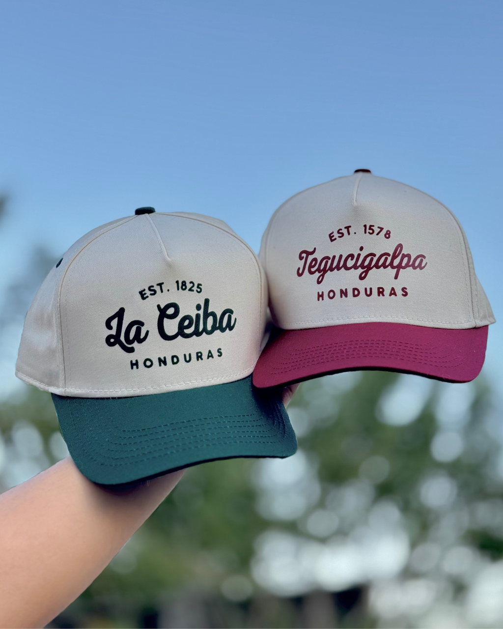 Gorra bicolor